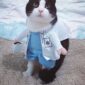 Doctor Cat Costume