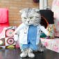 Doctor Cat Costume