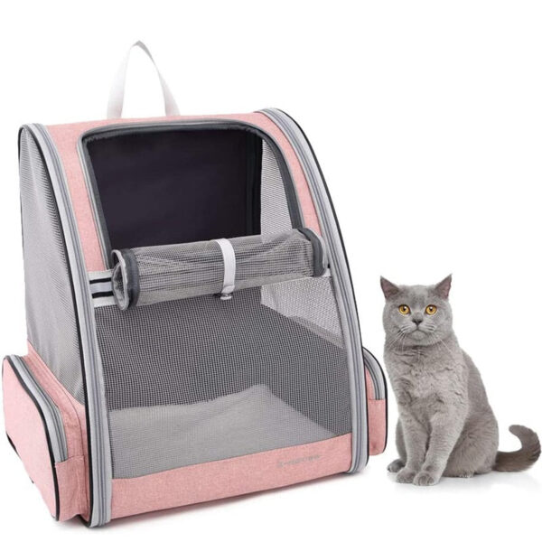 Foldable Mesh Cat Carrier