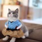Party Cat Costume 🎉