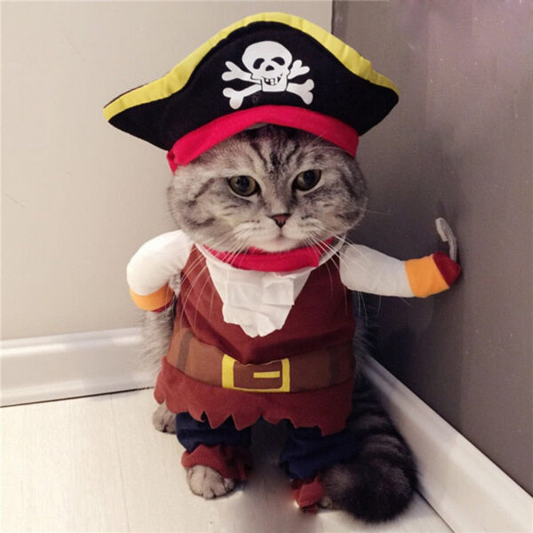 Pirate Cat Costume ‍☠️