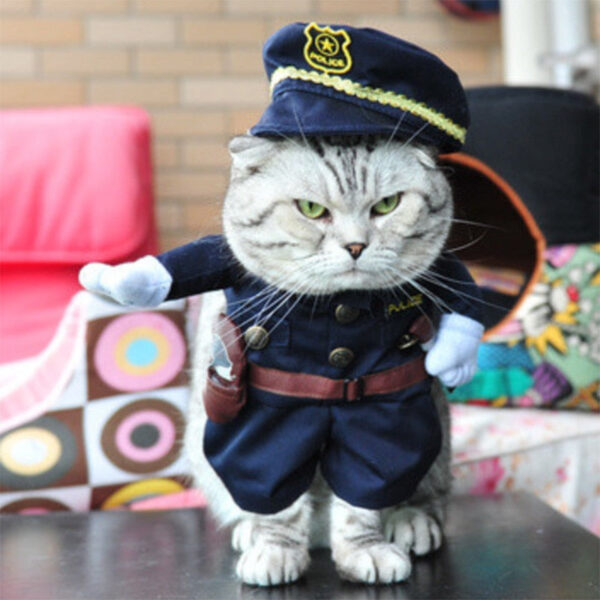 Police Cat Costume 👮‍♀️