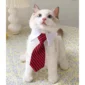 Charming Pet Tie